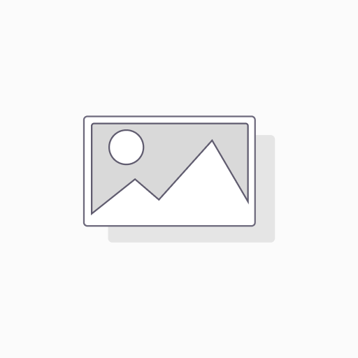 RING FIT ADVENTURE (USADO)